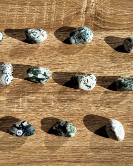 Pierres roulées en Agate Arbre AA