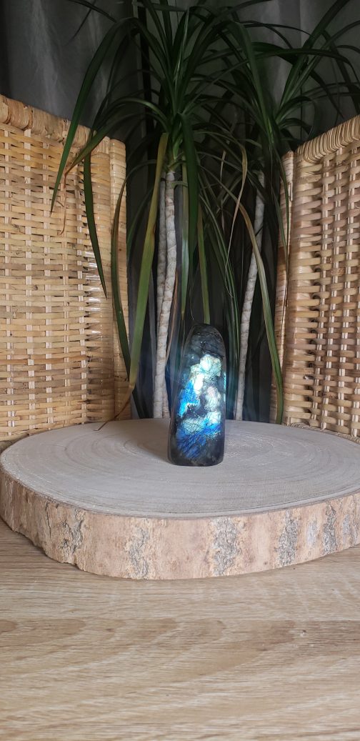 Forme libre en Labradorite AA – Image 2
