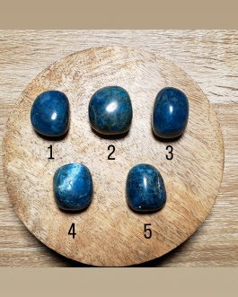 Pierres roulées en Apatite bleue AA
