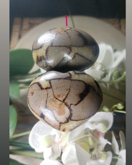 Coeur en Septaria