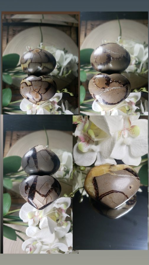Coeur en Septaria