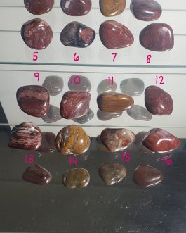 Pierres roulées en Bois Fossile A