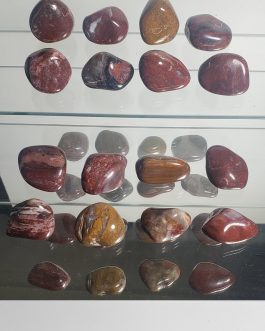 Pierres roulées en Bois Fossile A