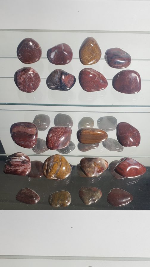 Pierres roulées en Bois Fossile A