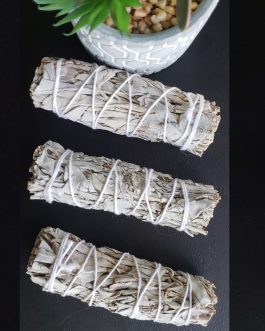Bâtons de Sauge