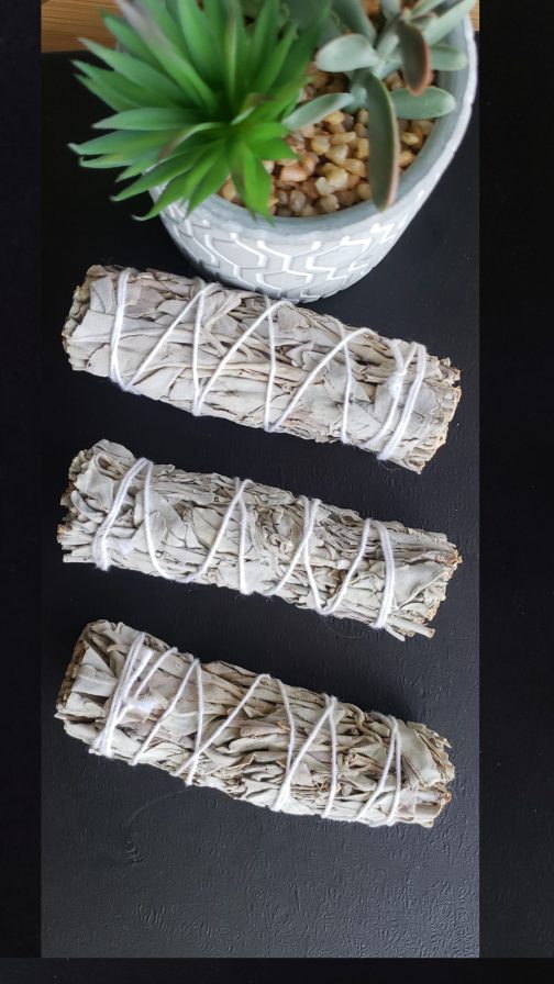 Bâtons de Sauge