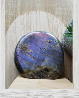 Forme libre en Labradorite type Spectrolite AA