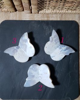 Papillons en Agate Plume Blanche AA