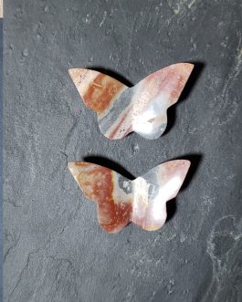 Papillons en Jaspe Polychrome AA