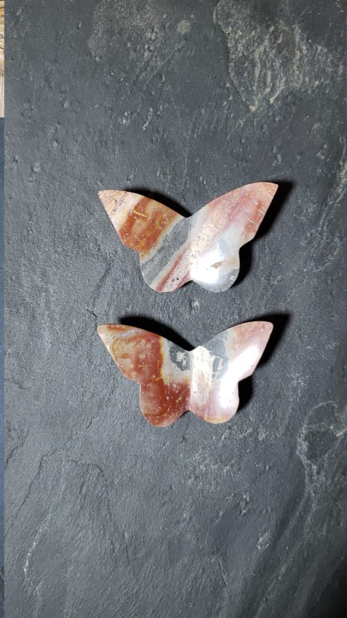 Papillons en Jaspe Polychrome AA