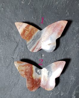 Papillons en Jaspe Polychrome AA