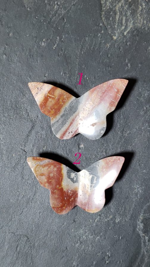 Papillons en Jaspe Polychrome AA – Image 2