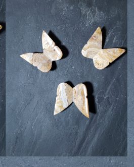 Papillons en Agate crazy Lace AA