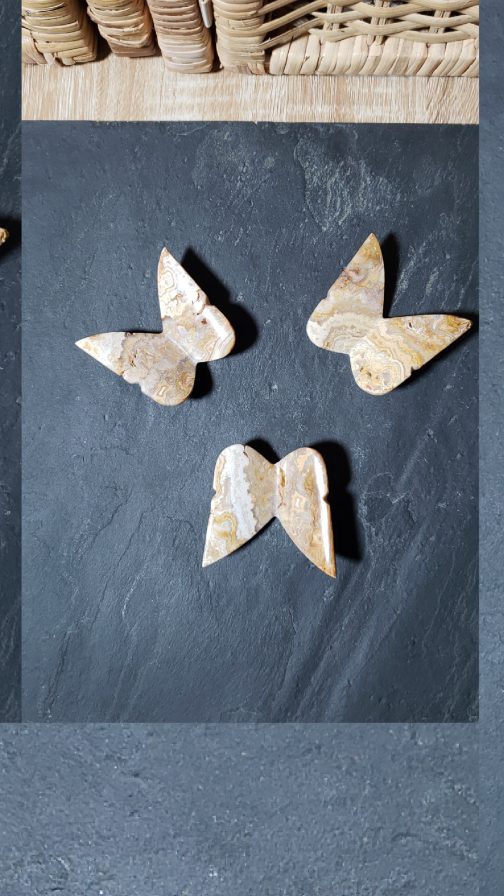 Papillons en Agate crazy Lace AA