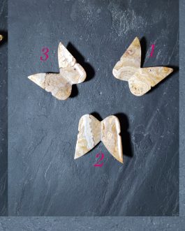 Papillons en Agate crazy Lace AA