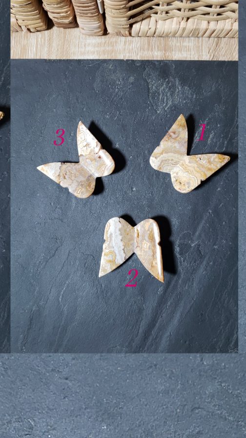 Papillons en Agate crazy Lace AA – Image 2