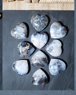 Galets Coeur en Agate Dendritique AA