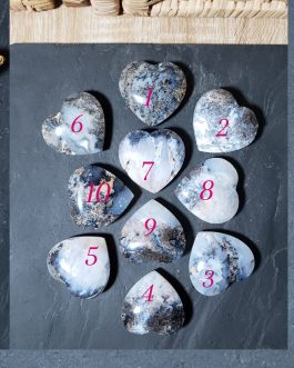 Galets Coeur en Agate Dendritique AA