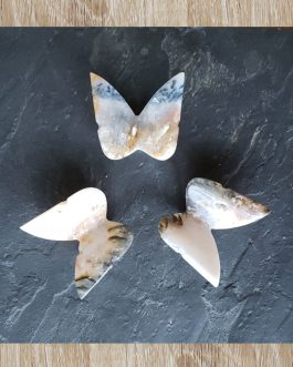Papillons en Agate plume AA