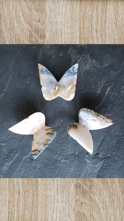 Papillons en Agate plume AA
