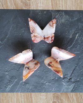 Papillons en Cornaline AA