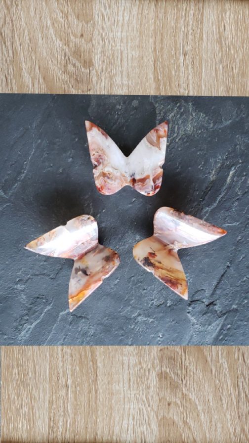 Papillons en Cornaline AA