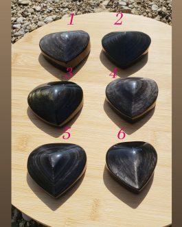 Galets Coeur en Obsidienne argentée et 1 dorée AA