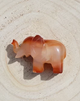 Eléphant en Cornaline AA+
