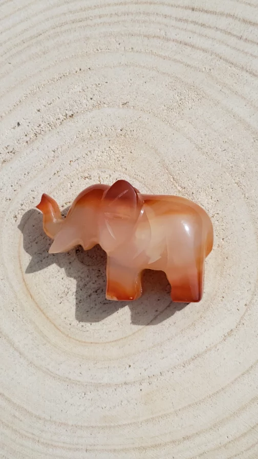 Eléphant en Cornaline AA+