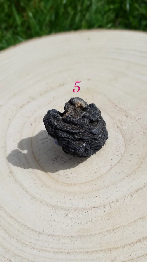 Formes Libres en Bois Fossile Scintillant AA – Image 6