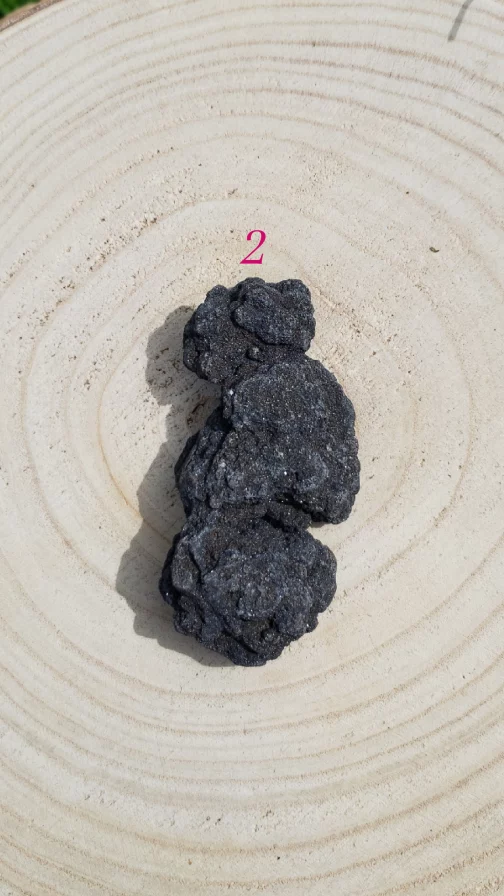 Formes Libres en Bois Fossile Scintillant AA – Image 3