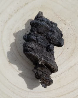 Formes Libres en Bois Fossile Scintillant AA