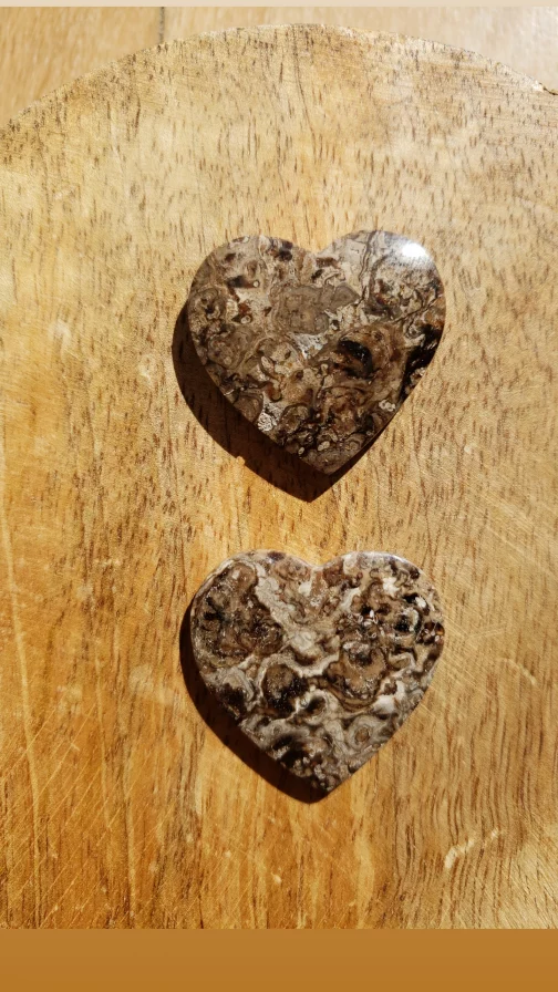 Coeurs en Racine de Palmier AA