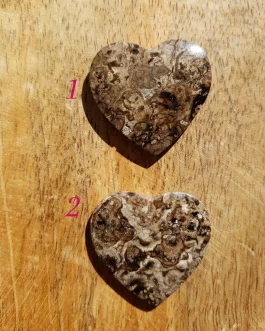 Coeurs en Racine de Palmier AA