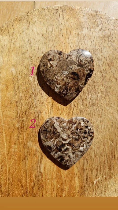 Coeurs en Racine de Palmier AA – Image 2